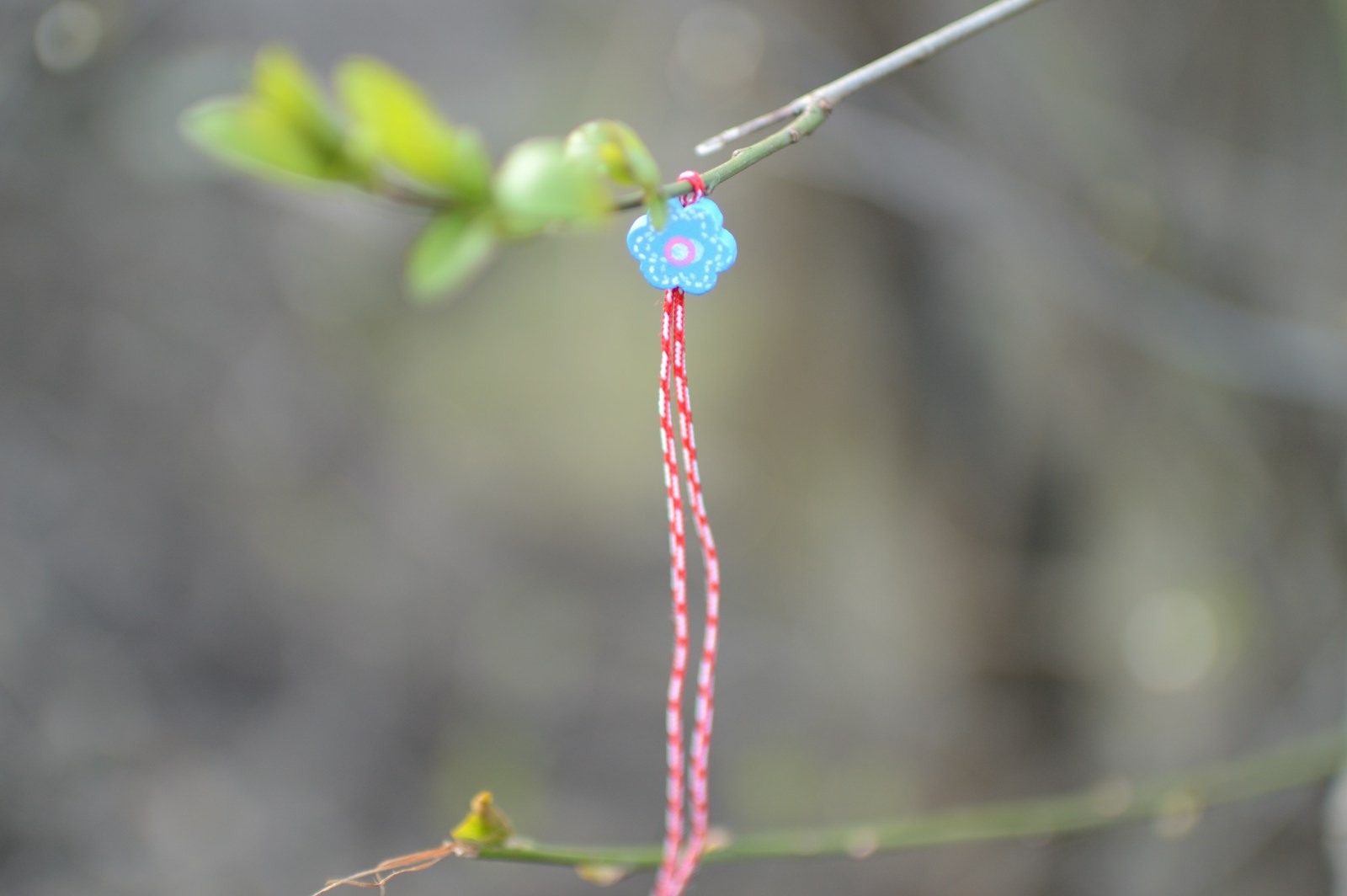 a close up of a flower on a tree branch